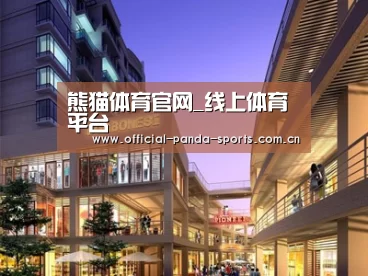 案例展示一