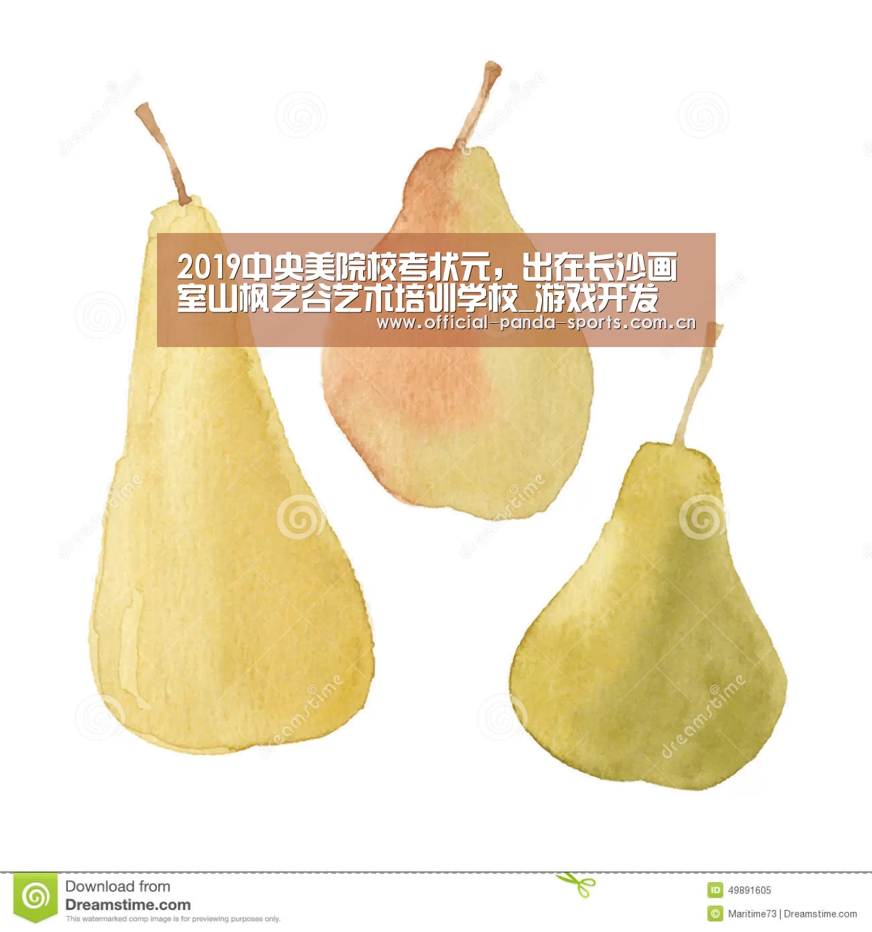 熊猫体育官网