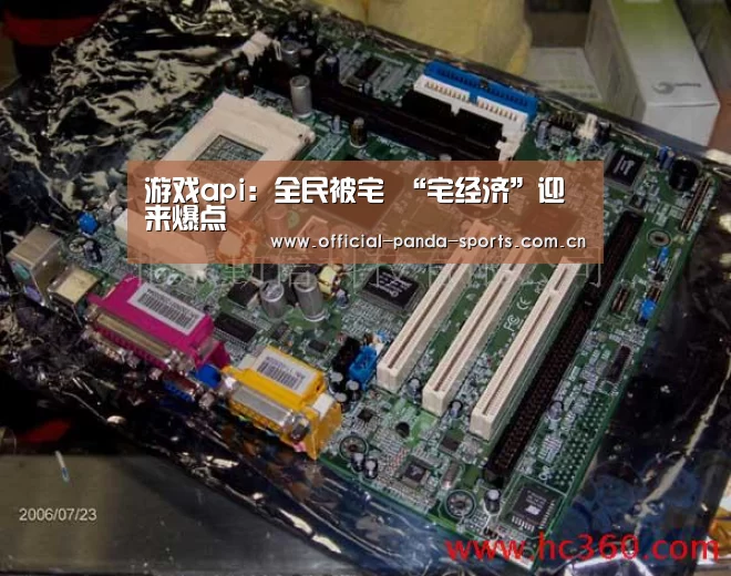 游戏api:全民被宅 “宅经济”迎来爆点(图3) 游戏开发