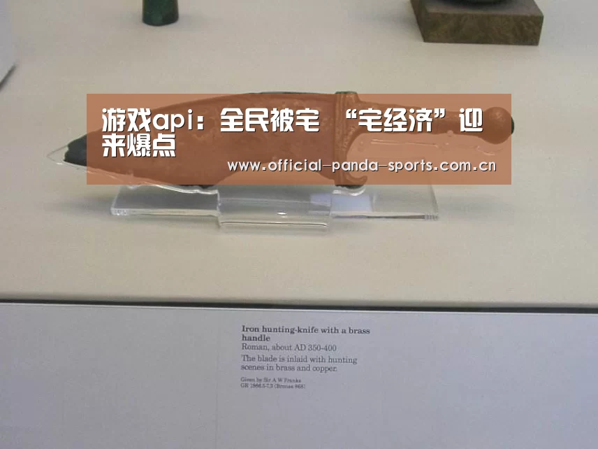 游戏api:全民被宅 “宅经济”迎来爆点(图2) 游戏api