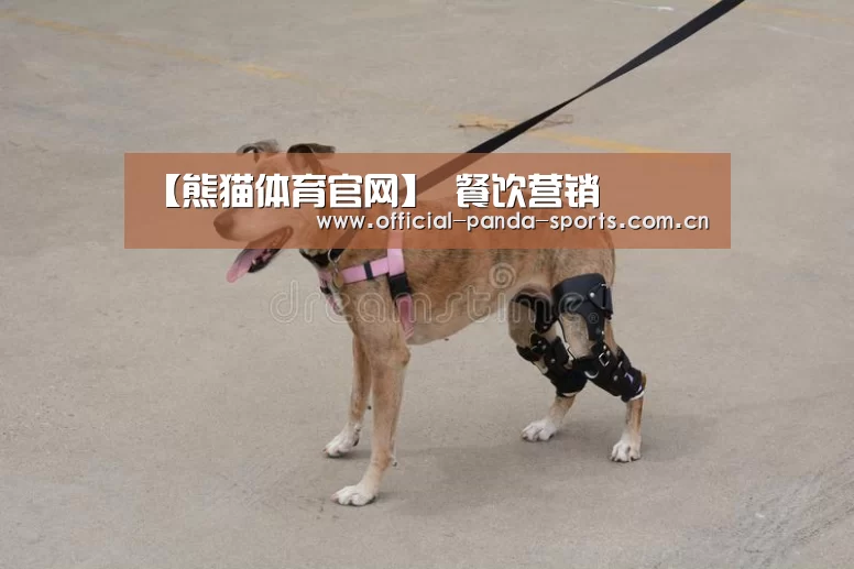 【熊猫体育官网】
餐饮营销(图4) 熊猫体育官网