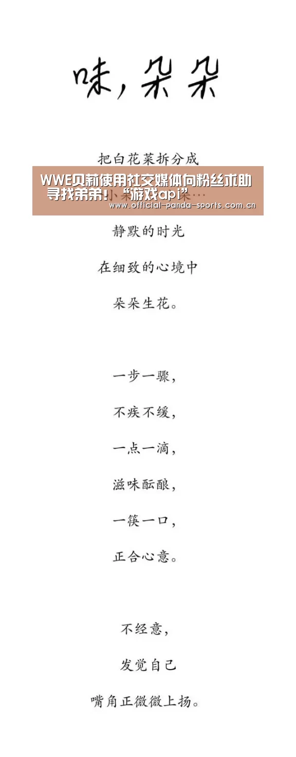 熊猫体育官网