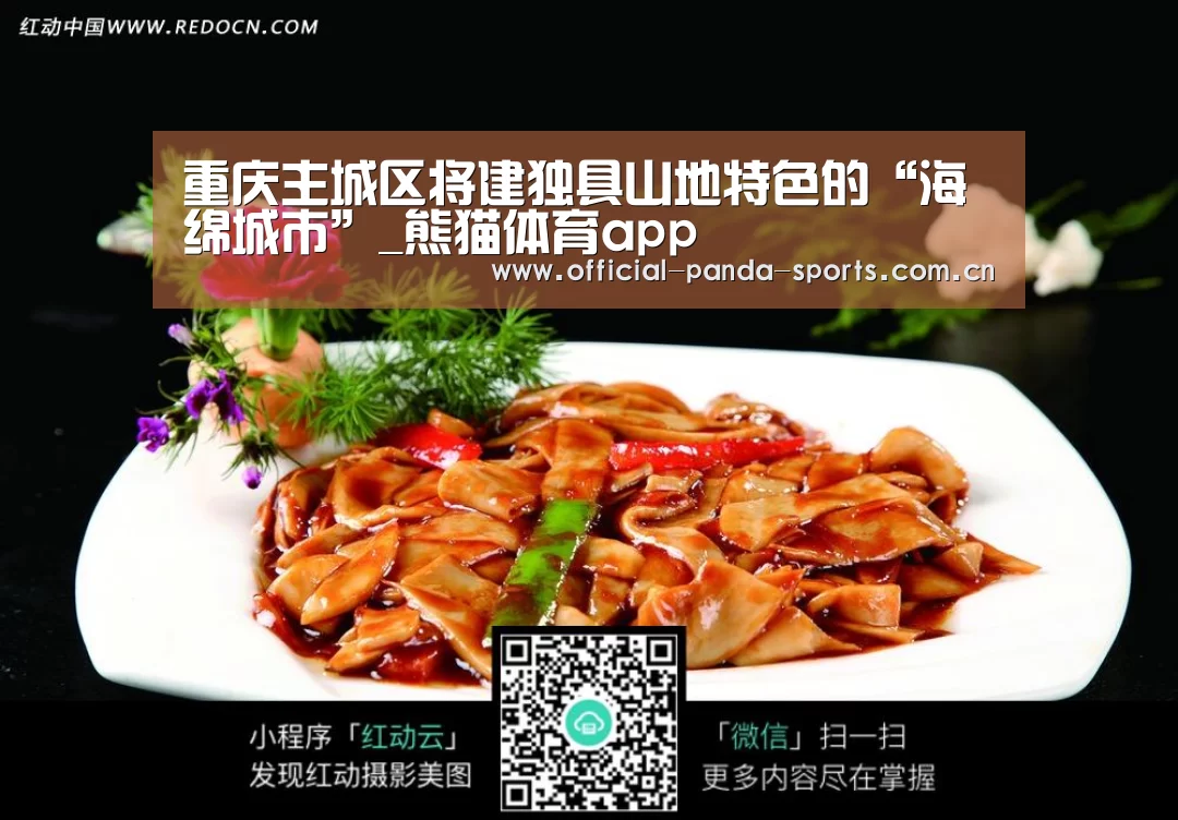 熊猫体育官网