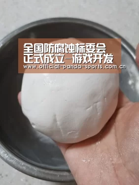 熊猫体育官网